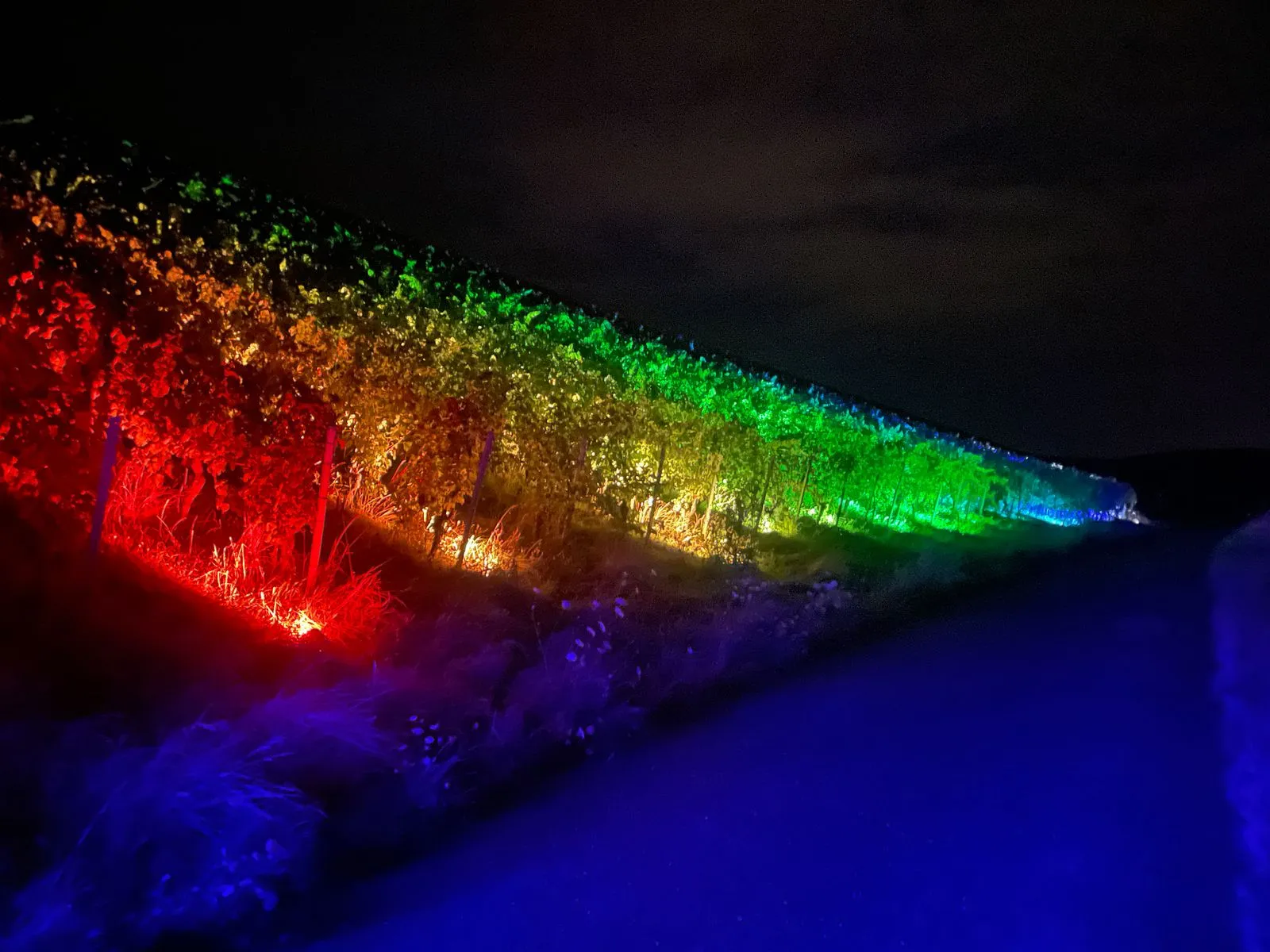 Lichttechnik mieten Sinsheim Header 2